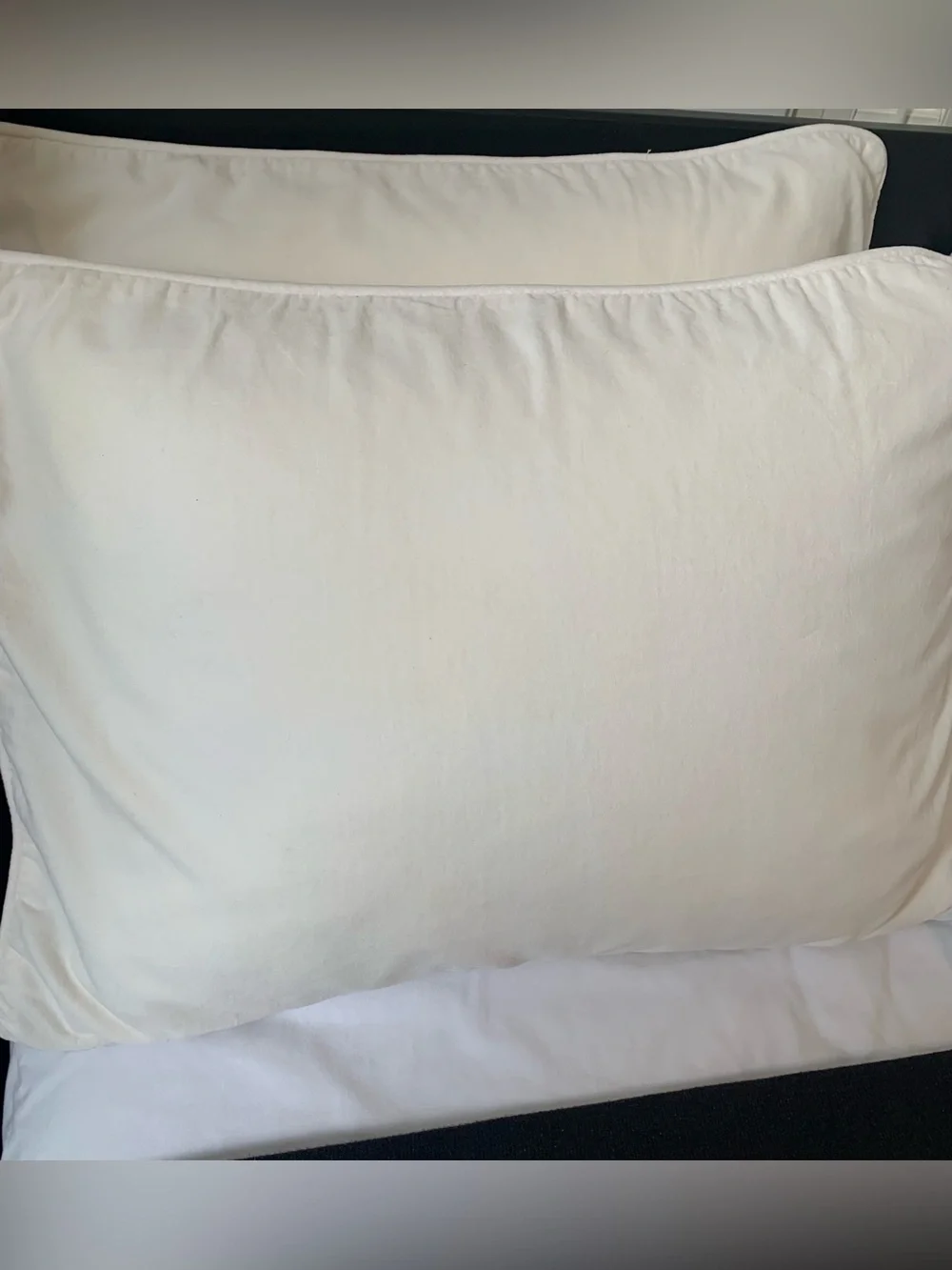 Pottery Barn Teen Ivory Velvet Stand Pillow Sham  Set of (2)